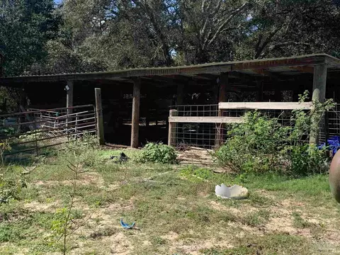 5873 Sabol Rd, Milton, FL 32583 photo 24