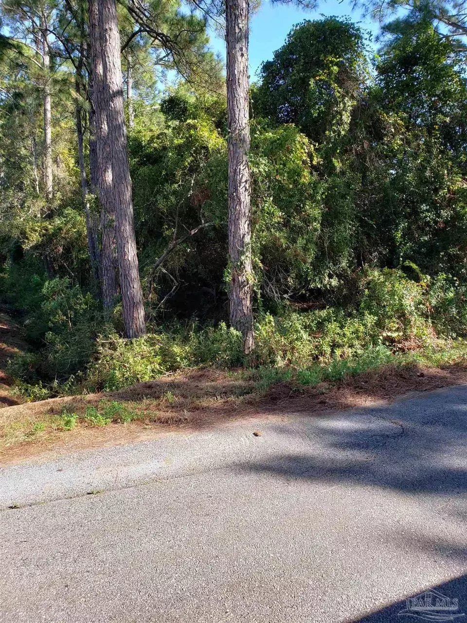  0000 El Paseo St, Navarre, FL 32566 photo 3
