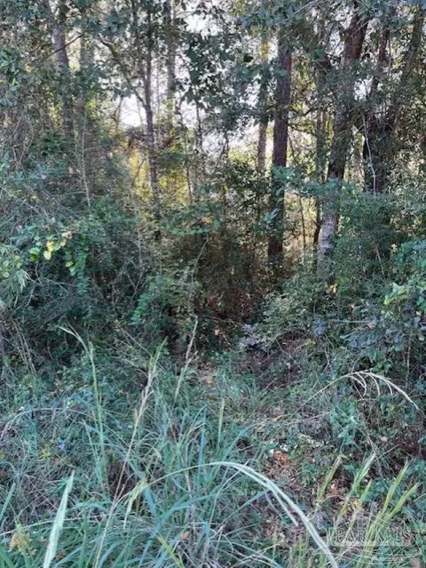 0 Gillis Rd, Milton, FL 32583 photo 3