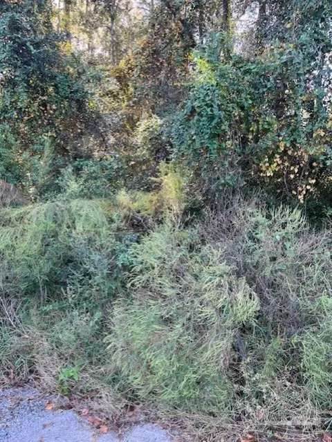 0 Gillis Rd, Milton, FL 32583 photo 6