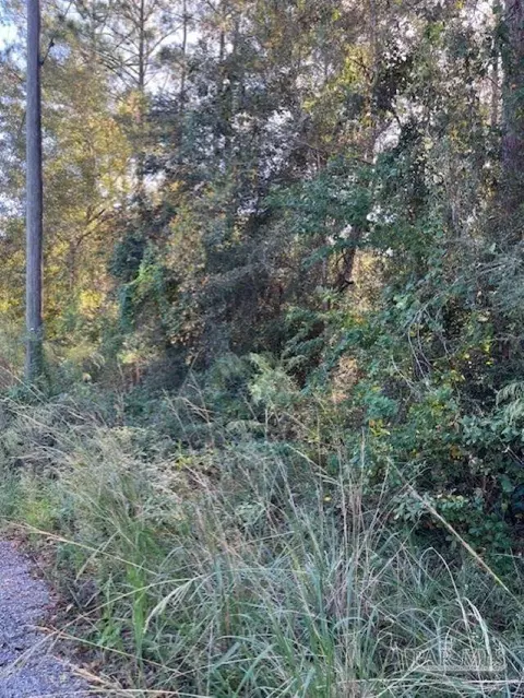 0 Gillis Rd, Milton, FL 32583 photo 4