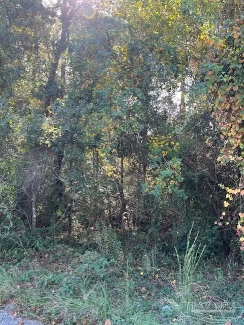 0 Gillis Rd, Milton, FL 32583 photo 2