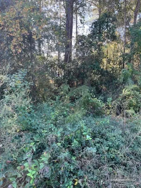 0 Gillis Rd, Milton, FL 32583 photo 5