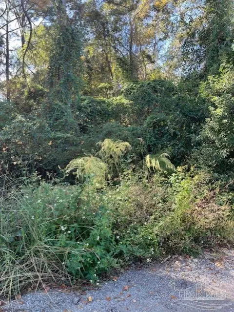 00 Gillis Rd, Milton, FL 32583