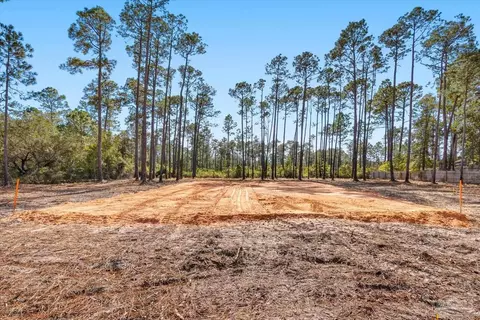 6455 Hammock Trce, Milton, FL 32583 photo 4