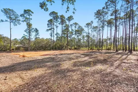 6455 Hammock Trce, Milton, FL 32583 photo 5