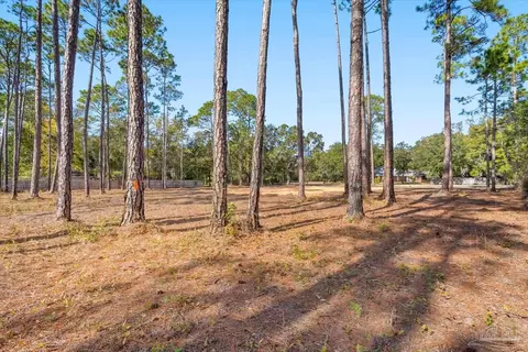 6455 Hammock Trce, Milton, FL 32583 photo 8