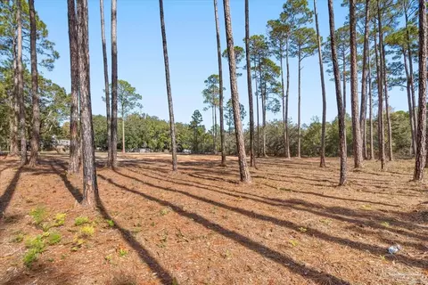 6455 Hammock Trce, Milton, FL 32583 photo 9