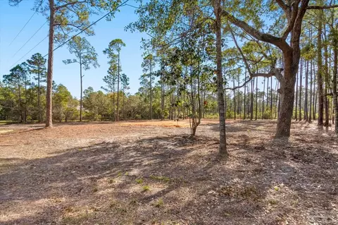 6455 Hammock Trce, Milton, FL 32583 photo 2