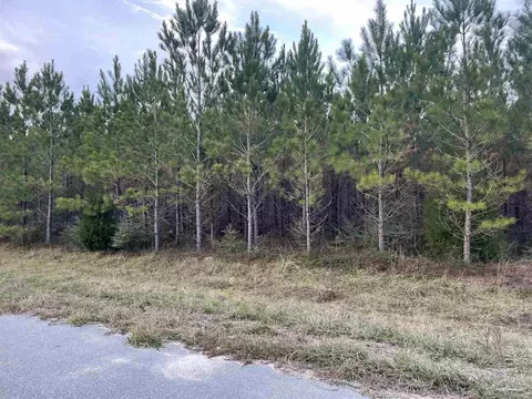 lot52 Sage Forest Ln, Pace, FL 32571 photo 6