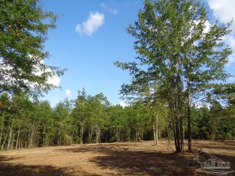 0 Butler St, Frisco City, AL 36445
