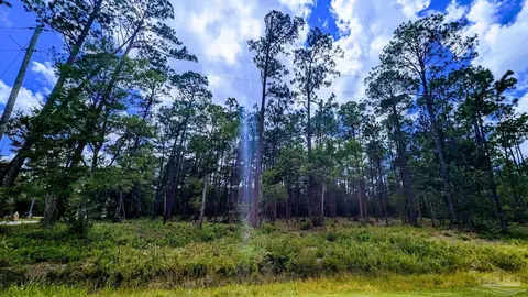 0 Boykin Blvd #196, Lillian, AL 36549
