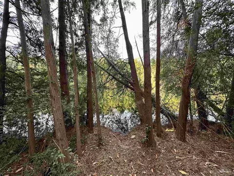 10224 W Lake Rd, Milton, FL 32583