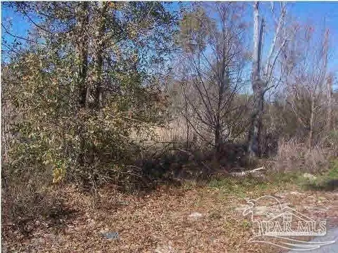 Doc Whitfield Rd, Wewahitchka, FL 32465
