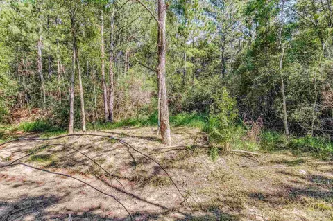 5985 Chardee Rd, Crestview, FL 32539 photo 41