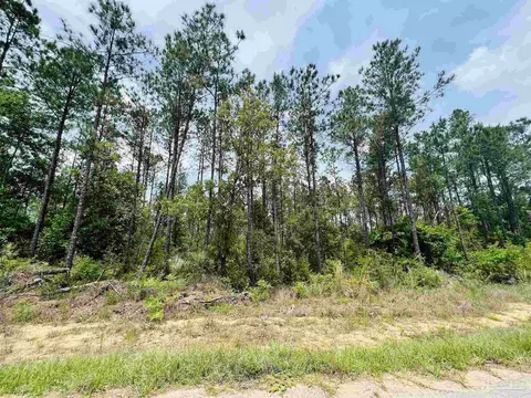 lot35 Buffalo Ridge Rd, Pace, FL 32571 photo 11