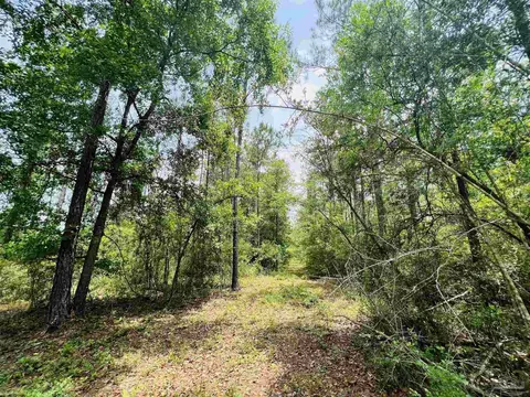 lot35 Buffalo Ridge Rd, Pace, FL 32571 photo 17
