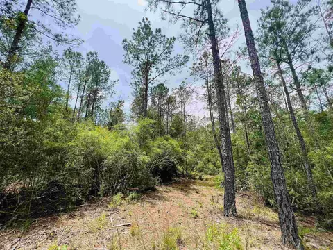 lot35 Buffalo Ridge Rd, Pace, FL 32571 photo 18