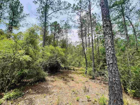 lot35 Buffalo Ridge Rd, Pace, FL 32571 photo 16