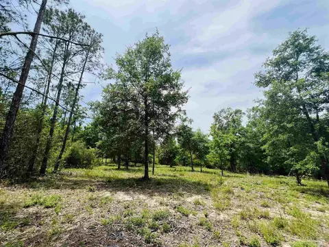 lot35 Buffalo Ridge Rd, Pace, FL 32571 photo 19