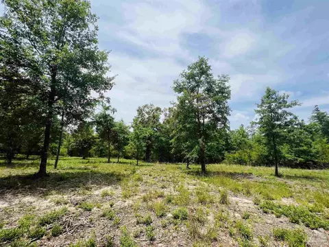 lot35 Buffalo Ridge Rd, Pace, FL 32571 photo 20