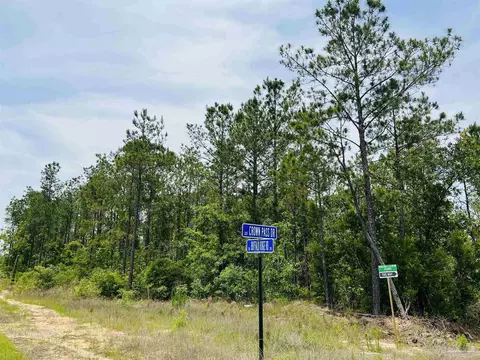 lot35 Buffalo Ridge Rd, Pace, FL 32571 photo 6