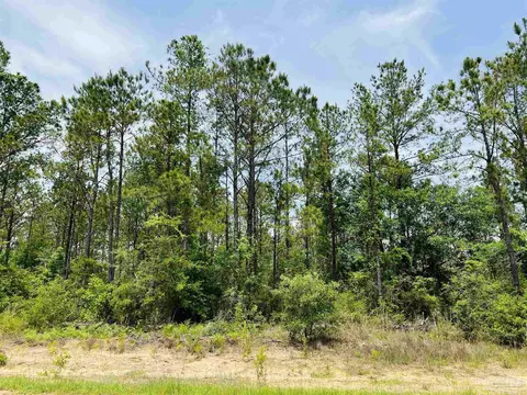 lot35 Buffalo Ridge Rd, Pace, FL 32571 photo 9