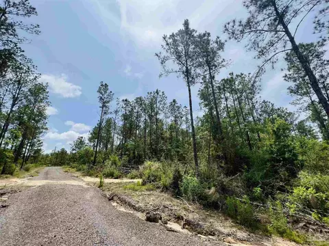 lot35 Buffalo Ridge Rd, Pace, FL 32571 photo 25