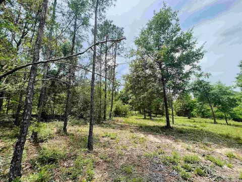 lot35 Buffalo Ridge Rd, Pace, FL 32571 photo 21