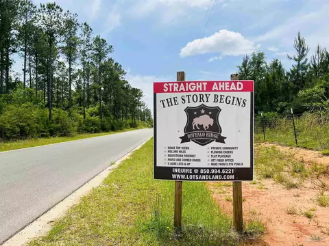 lot35 Buffalo Ridge Rd, Pace, FL 32571 photo 2