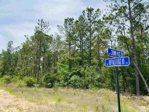lot35 Buffalo Ridge Rd, Pace, FL 32571 photo 4