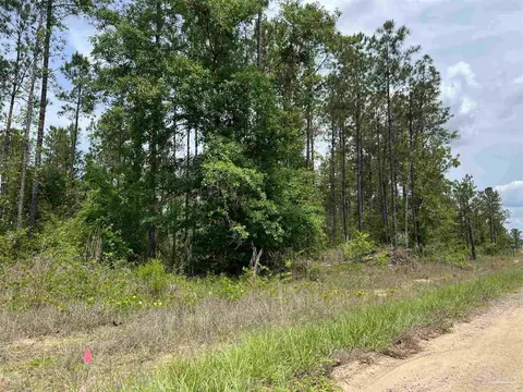 lot35 Buffalo Ridge Rd, Pace, FL 32571 photo 8