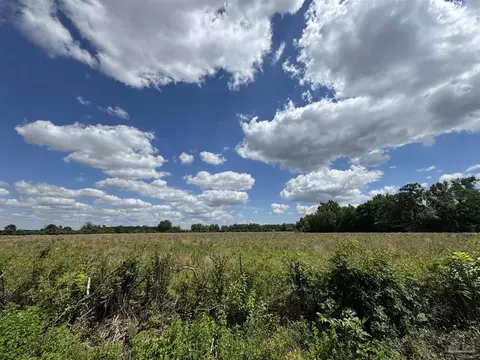 Brownsdale Loop Rd, Jay, FL 32565