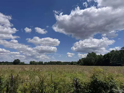Brownsdale Loop Rd, Jay, FL 32565 photo 4