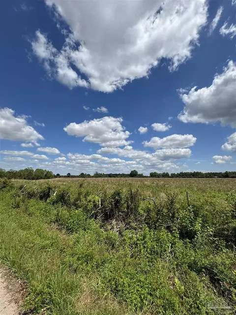 Brownsdale Loop Rd, Jay, FL 32565 photo 3