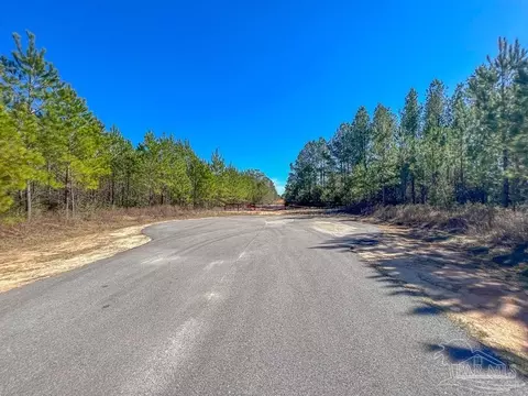 lot57 Sage Forest Ln, Pace, FL 32571 photo 3