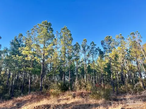 2211 Ten Mile Rd, Pace, FL 32571 photo 11
