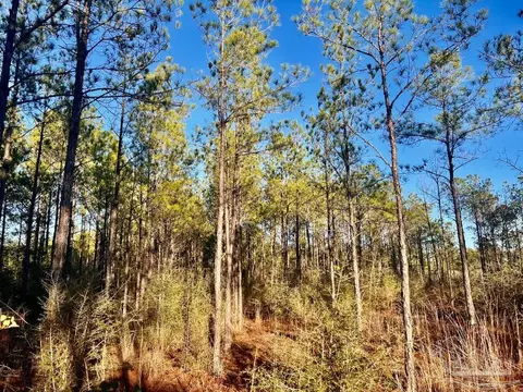 2211 Ten Mile Rd, Pace, FL 32571 photo 3