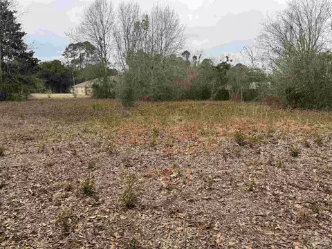0 Hamilton Ln, Pace, FL 32571 photo 4