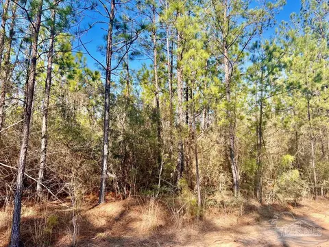lot37 Maple Branch Ln, Pace, FL 32571 photo 7