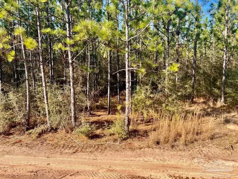 lot37 Maple Branch Ln, Pace, FL 32571 photo 5