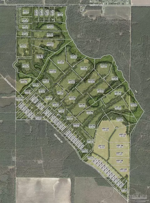 lot37 Maple Branch Ln, Pace, FL 32571 photo 2