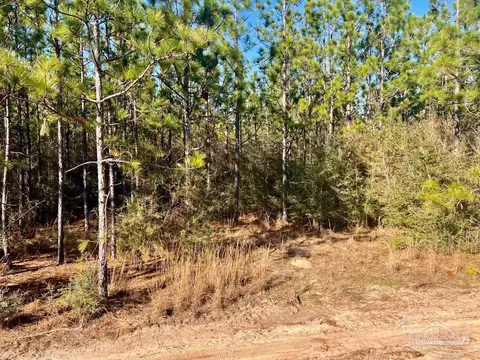 lot37 Maple Branch Ln, Pace, FL 32571 photo 4