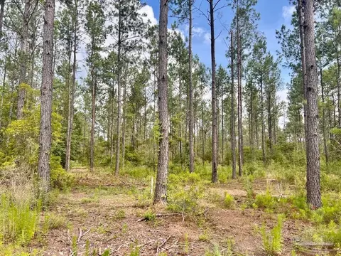 lot83 Maple Branch Ln, Pace, FL 32571 photo 5