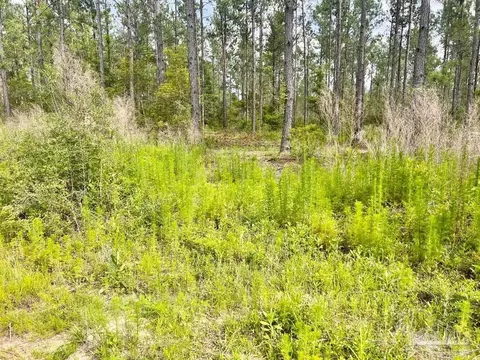 lot83 Maple Branch Ln, Pace, FL 32571 photo 4
