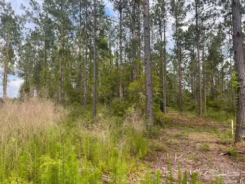 lot83 Maple Branch Ln, Pace, FL 32571 photo 6