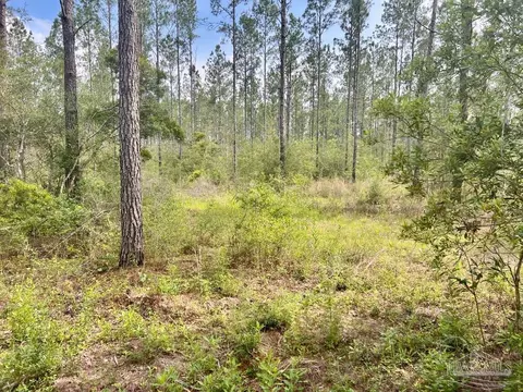 lot83 Maple Branch Ln, Pace, FL 32571 photo 3