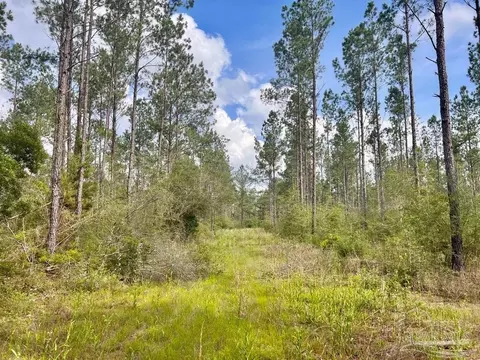 lot83 Maple Branch Ln, Pace, FL 32571 photo 2