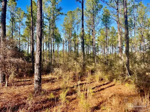 lot82 Naturewalk Dr, Pace, FL 32571 photo 9