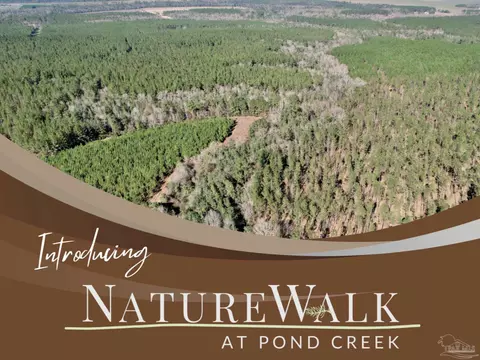 lot82 Naturewalk Dr, Pace, FL 32571 photo 4